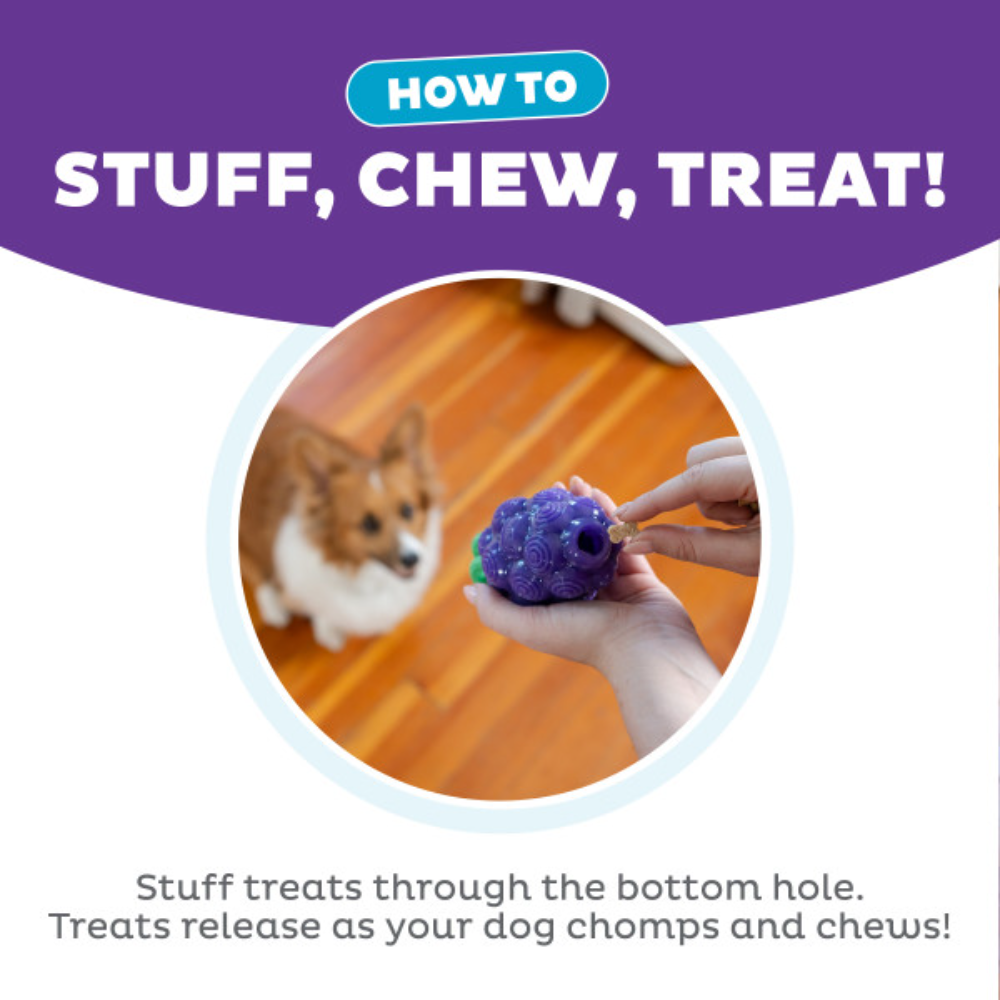 Nina Ottosson Dental Grapes Treat Dispensing Dog Chew Toys