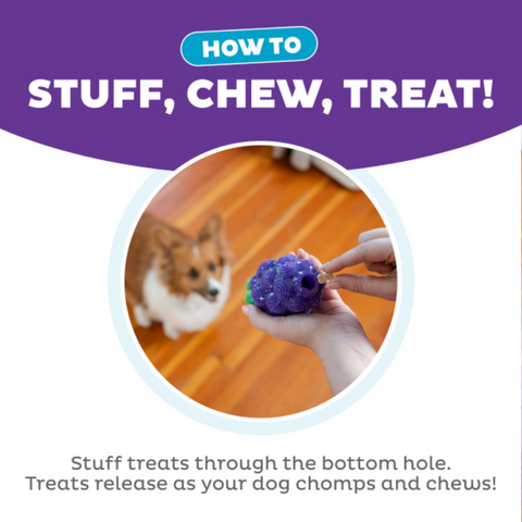 Nina Ottosson Dental Grapes Treat Dispensing Dog Chew Toys
