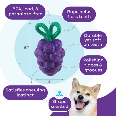 Nina Ottosson Dental Grapes Treat Dispensing Dog Chew Toys
