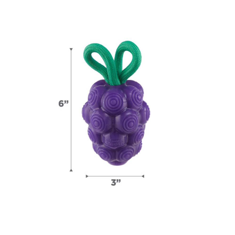 Nina Ottosson Dental Grapes Treat Dispensing Dog Chew Toys