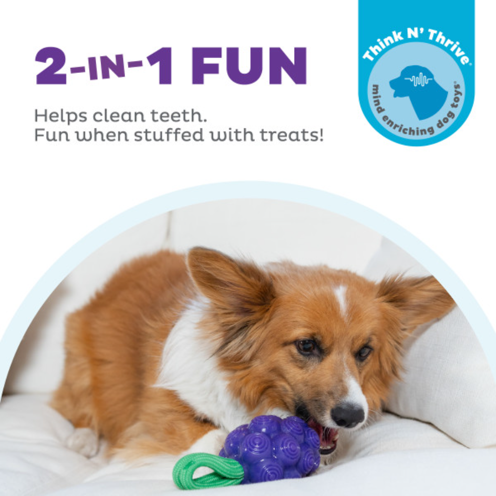 Nina Ottosson Dental Grapes Treat Dispensing Dog Chew Toys