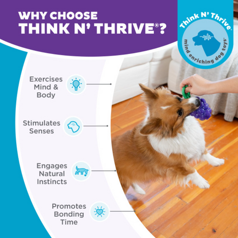 Nina Ottosson Dental Grapes Treat Dispensing Dog Chew Toys