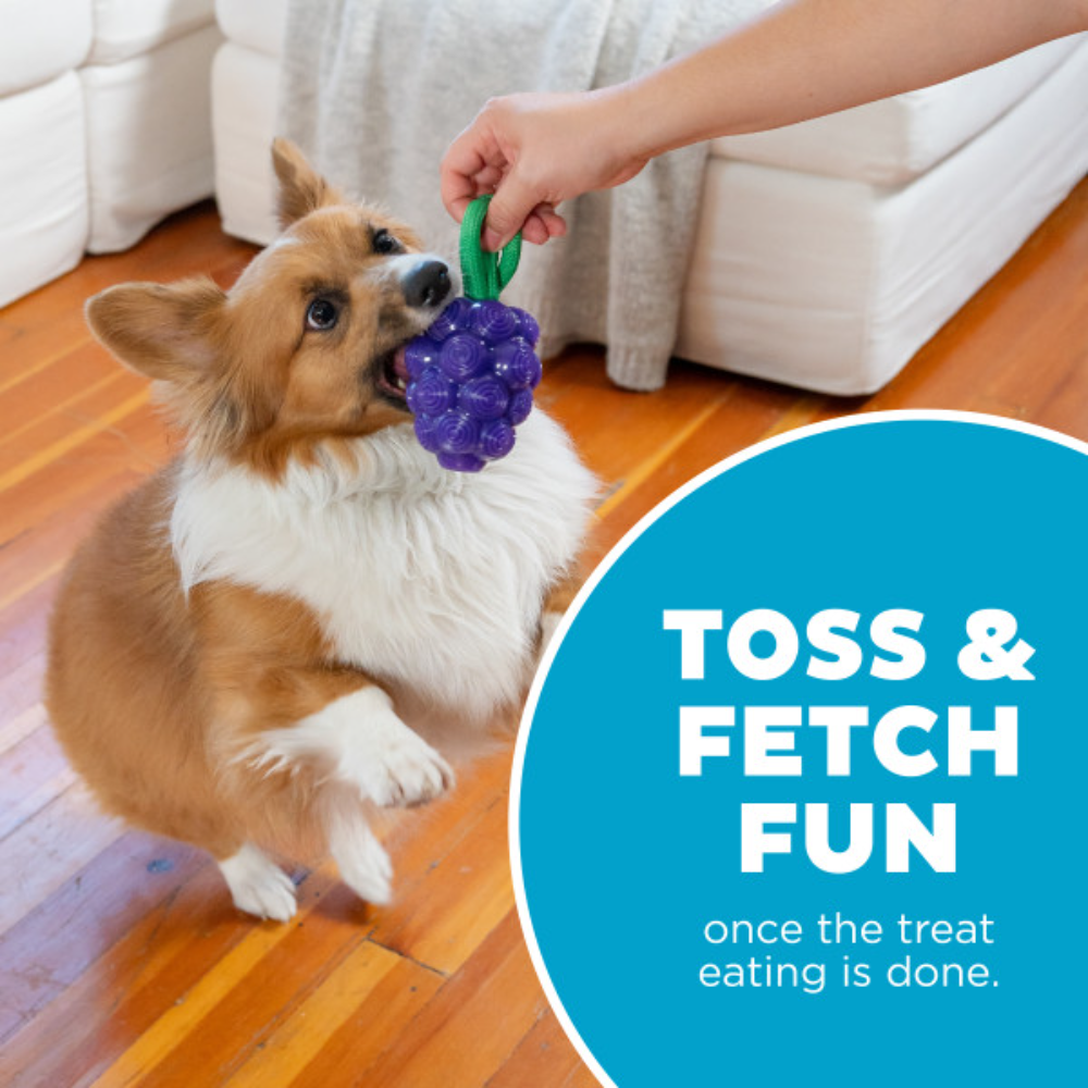 Nina Ottosson Dental Grapes Treat Dispensing Dog Chew Toys