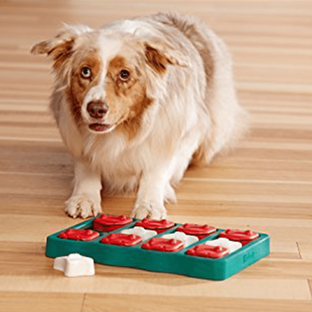 Dog Brick Puzzle