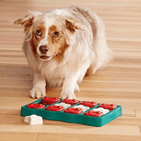 Dog Brick Puzzle