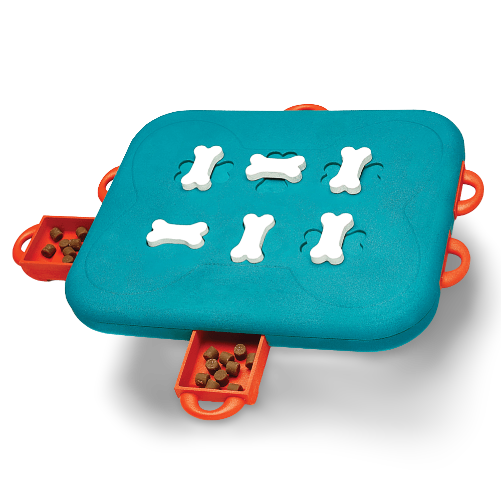 Dog Casino Puzzle
