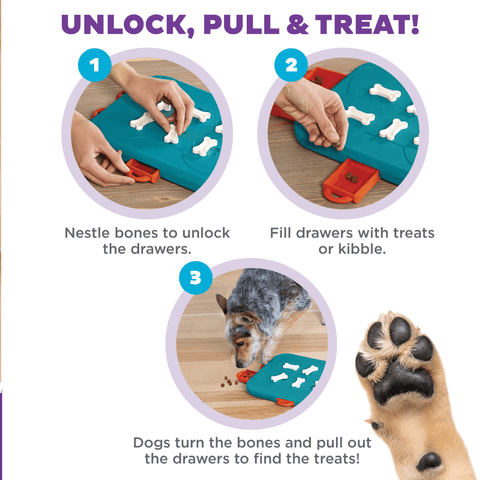 Dog Casino Puzzle