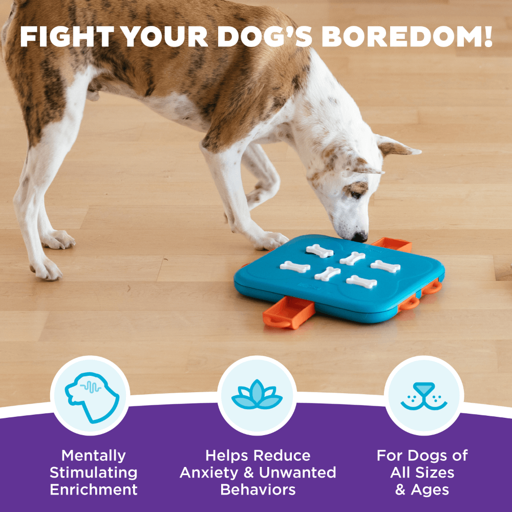Dog Casino Puzzle