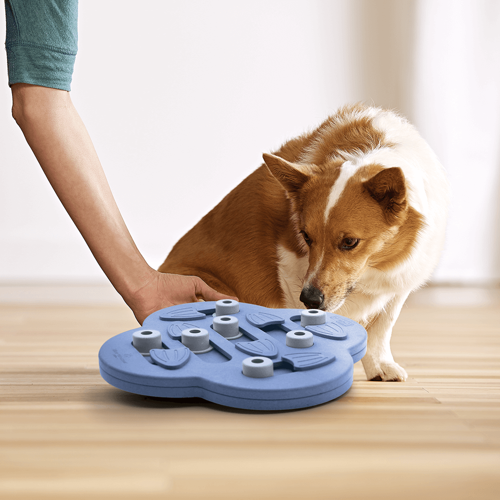 Dog Hide N Slide Puzzle Purple