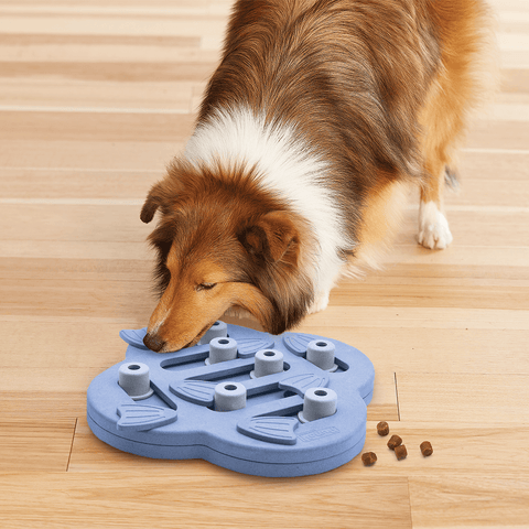 Dog Hide N Slide Puzzle Purple