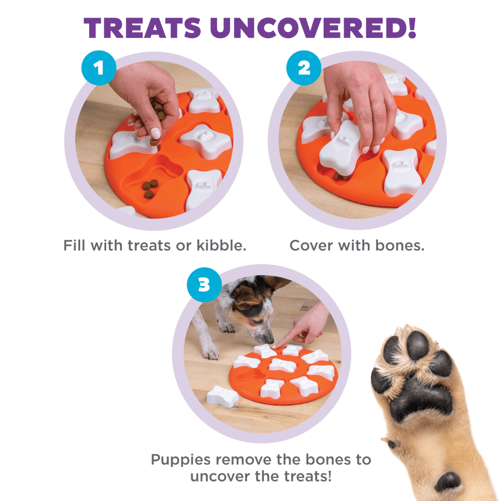 Dog Smart Puzzle