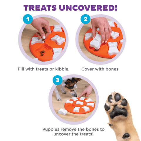 Dog Smart Puzzle