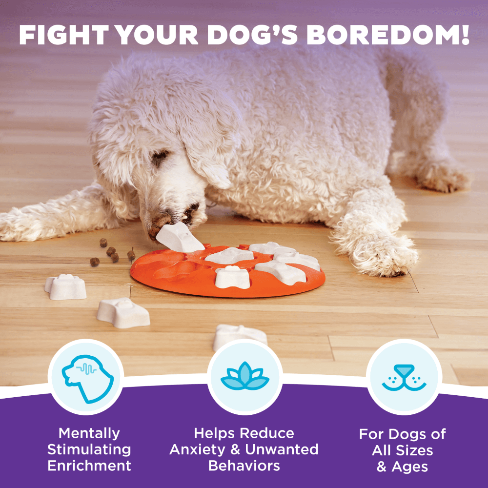 Dog Smart Puzzle