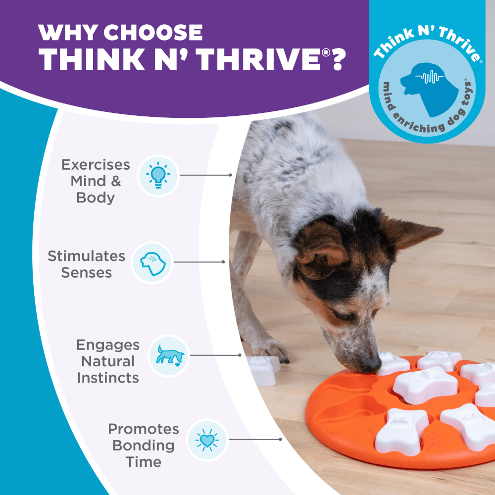 Dog Smart Puzzle