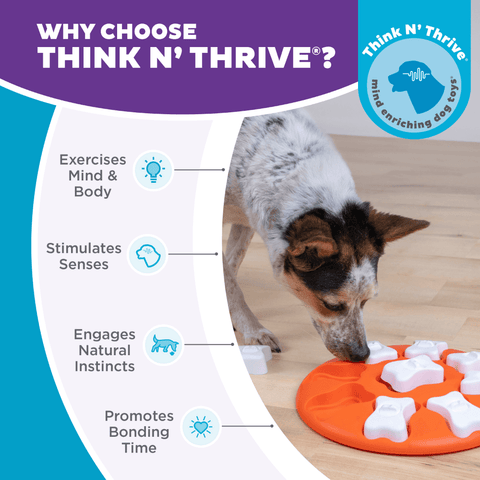 Dog Smart Puzzle