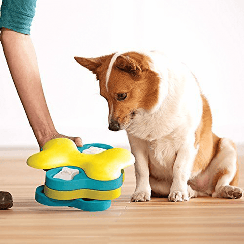 Dog Tornado Puzzle