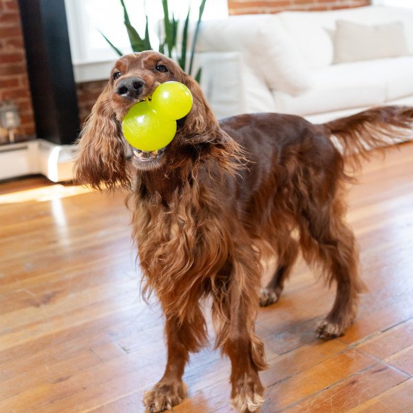 Nina Ottosson Double Tuff Treat Dispensing Dog Toy Green