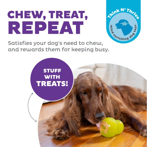 Nina Ottosson Double Tuff Treat Dispensing Dog Toy Green