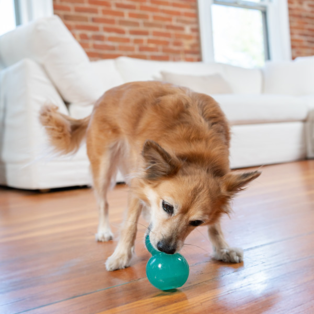 Nina Ottosson Double Tuff Treat Dispensing Dog Toy Blue