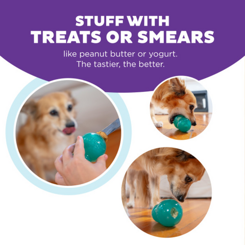 Nina Ottosson Double Tuff Treat Dispensing Dog Toy Blue