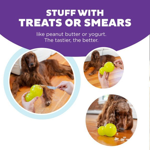 Nina Ottosson Double Tuff Treat Dispensing Dog Toy Green