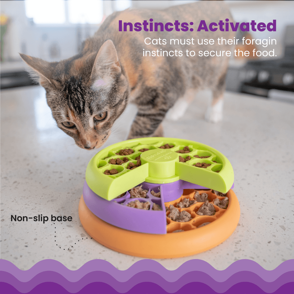 Lickin Layers Cat Toy
