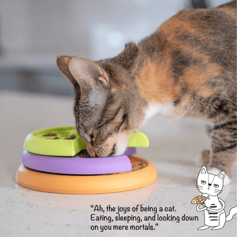 Lickin Layers Cat Toy