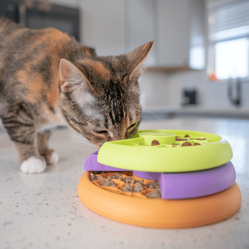 Lickin Layers Cat Toy