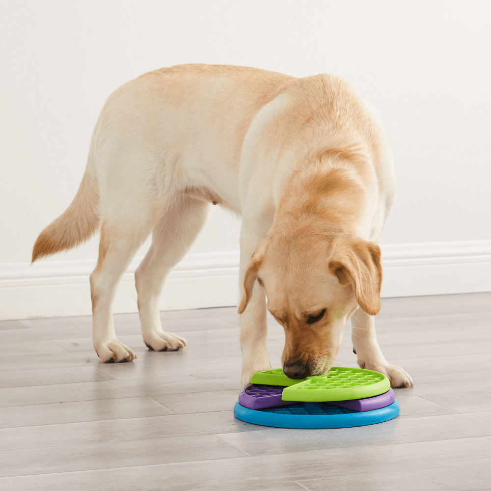 Lickin Layers Puzzle Dog Toy
