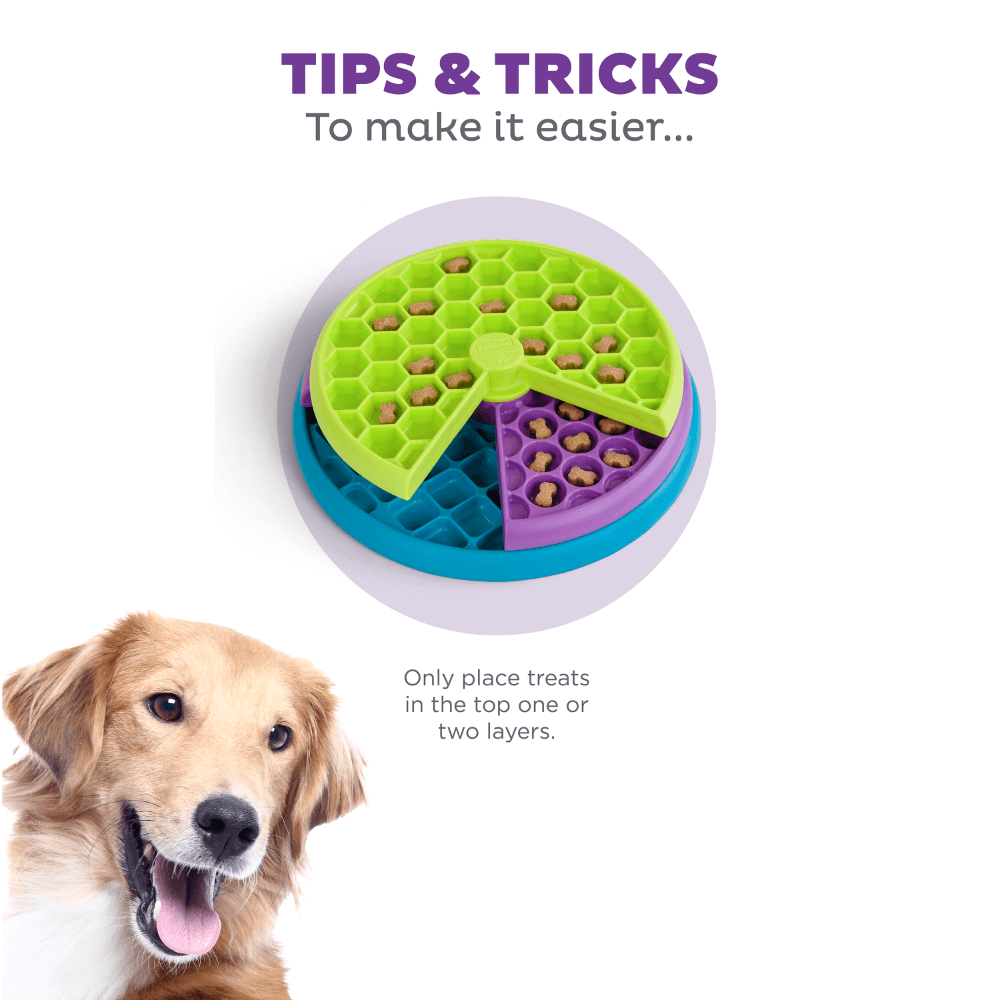 Lickin Layers Puzzle Dog Toy