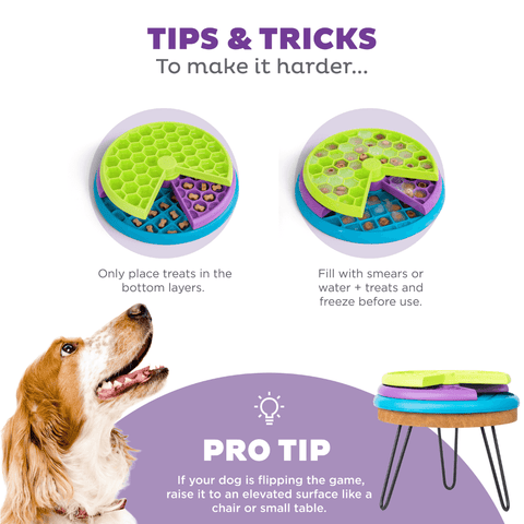 Lickin Layers Puzzle Dog Toy