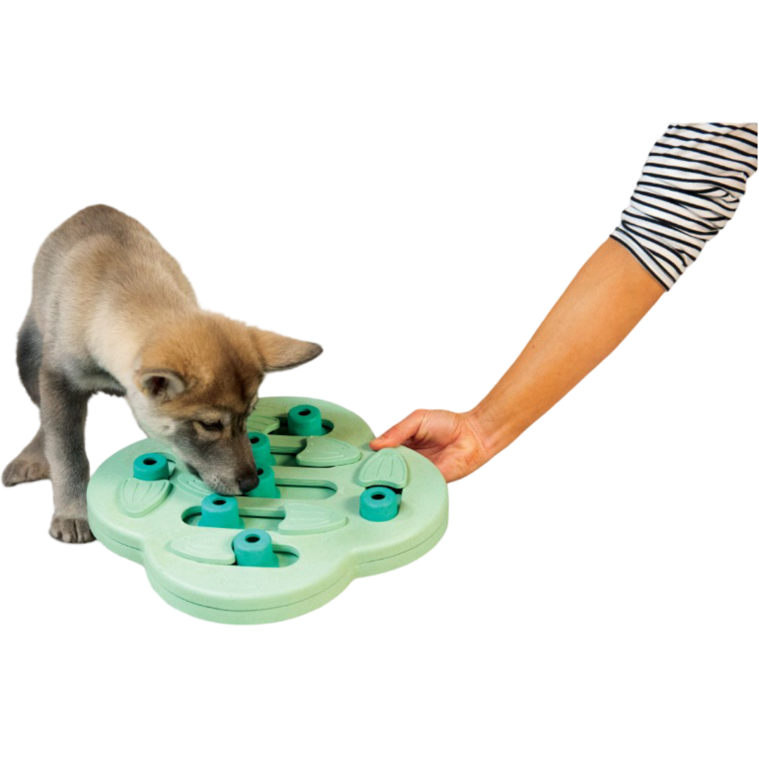 Puppy Hide Slide Dog Treat Puzzle Toy