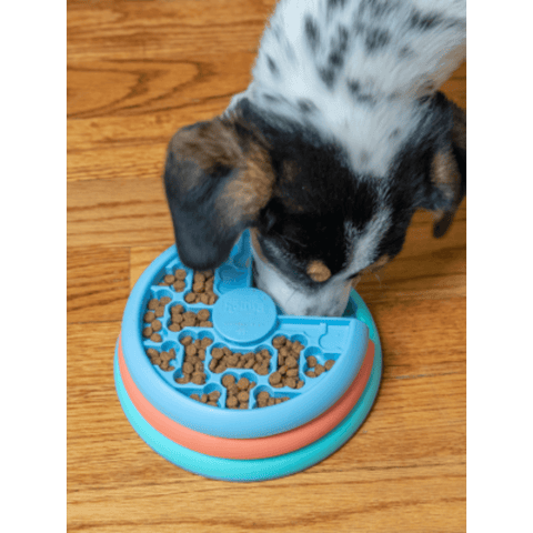 Puppy Lickin Layers Puzzle Dog Toy