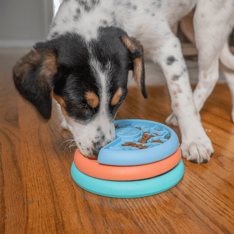 Puppy Lickin Layers Puzzle Dog Toy