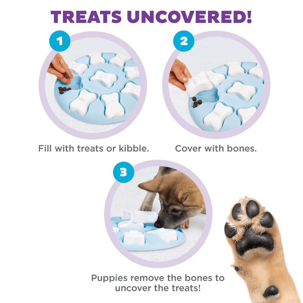 Puppy Smart Organiser Dog Treat Puzzle Toy