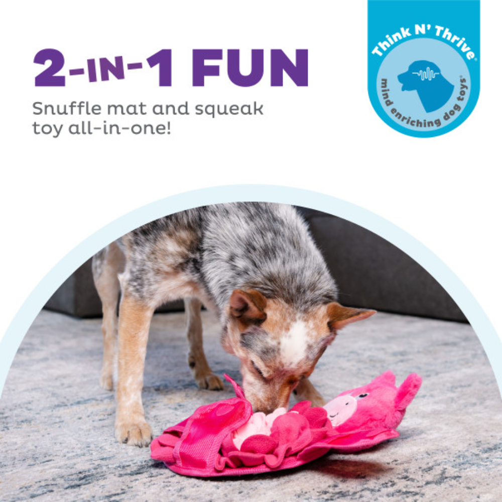 Nina Ottosson Snuffle Palz Pig Snuffle Mat Dog Toy