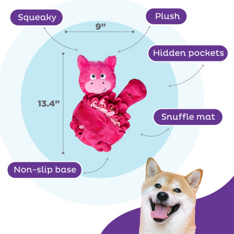 Nina Ottosson Snuffle Palz Pig Snuffle Mat Dog Toy