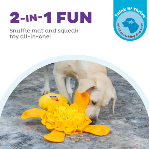 Snuffle Palz Chicken Snuffle Mat Dog Toy