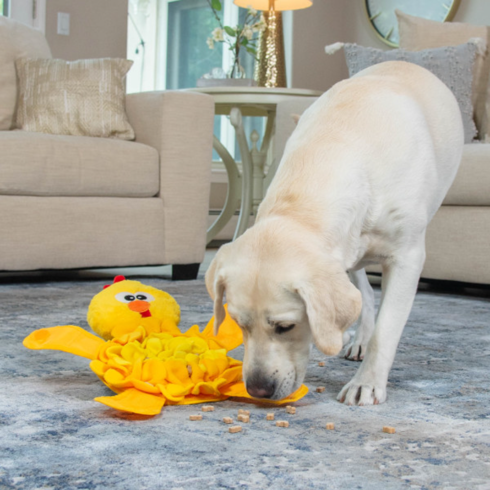 Snuffle Palz Chicken Snuffle Mat Dog Toy