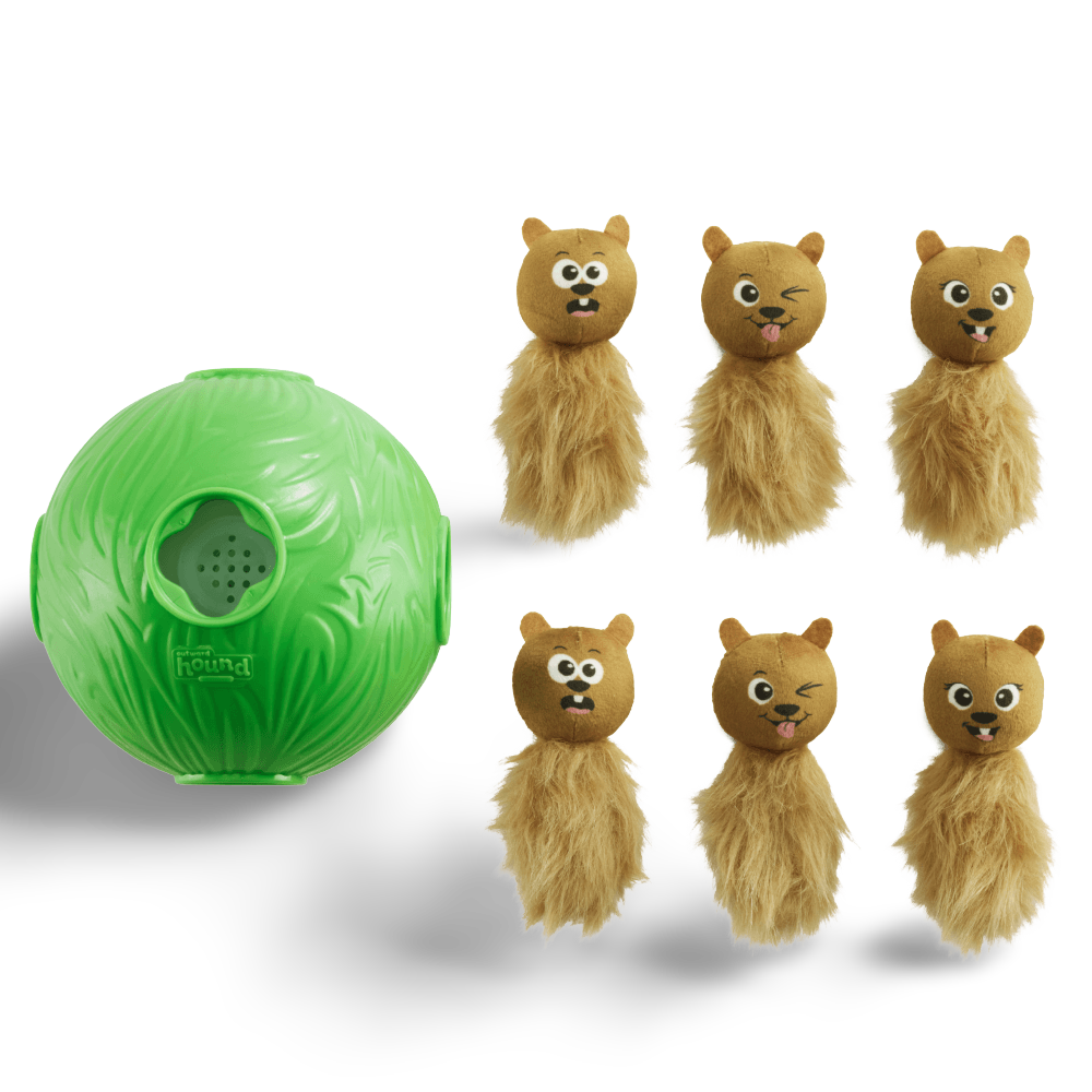 Snuffle N Treat Squeaky Puzzle Dog Toy