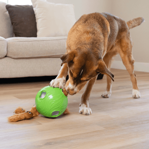Snuffle N Treat Squeaky Puzzle Dog Toy