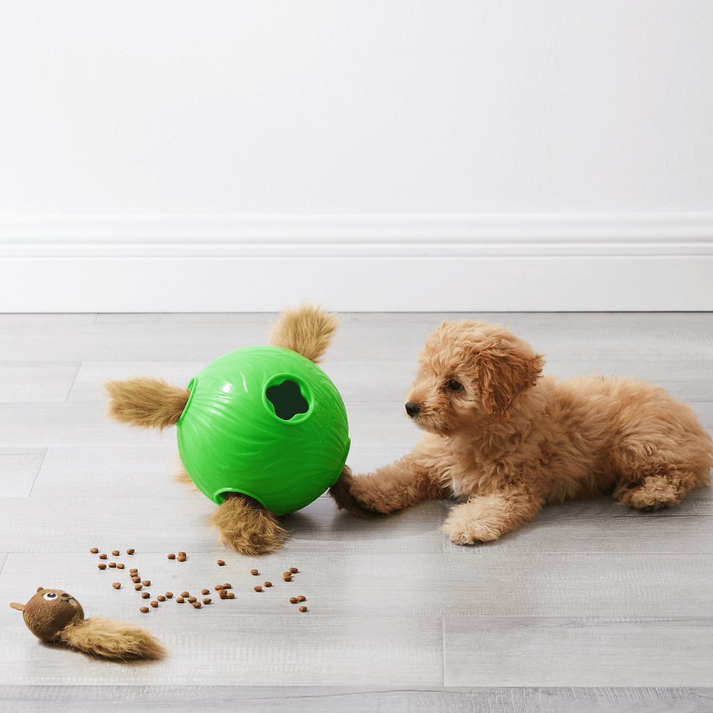Snuffle N Treat Squeaky Puzzle Dog Toy
