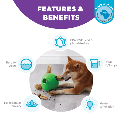 Snuffle N Treat Squeaky Puzzle Dog Toy