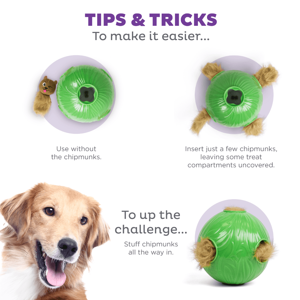 Snuffle N Treat Squeaky Puzzle Dog Toy