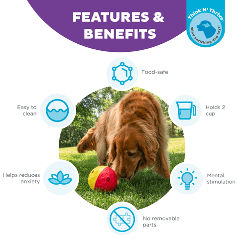 Treat Tumble Dispensing Large Dog Toy