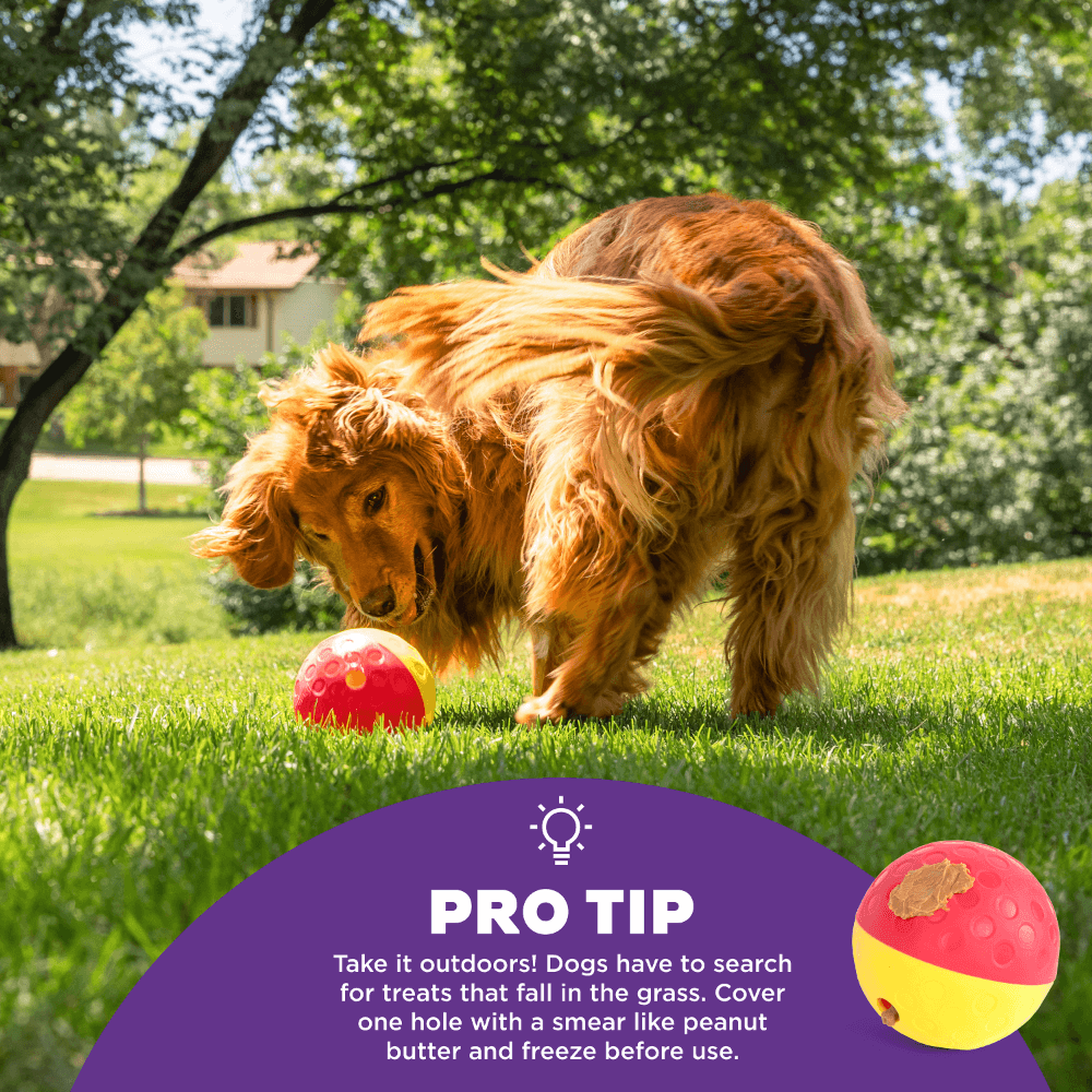 Treat Tumble Dispensing Large Dog Toy