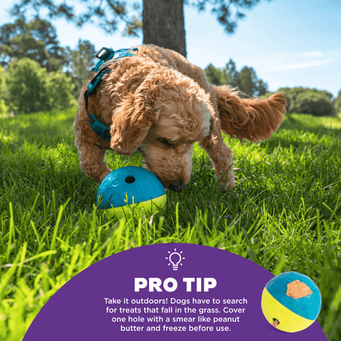 Treat Tumble Dispensing Small Dog Toy