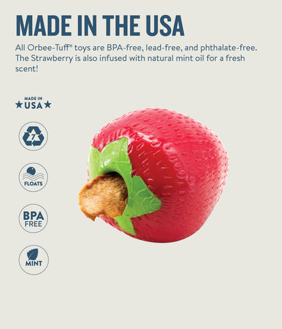 Planet Dog Orbee-Tuff Strawberry Treat-Dispensing Dog Chew Toy