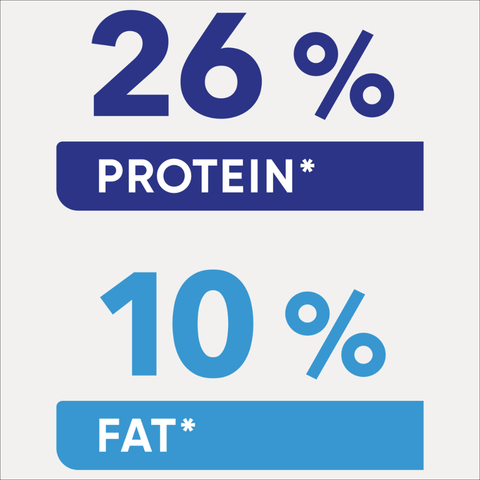 Adult Dry Dog Food Chicken Vegetables And Rice