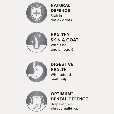 Adult Dry Dog Food Chicken Vegetables And Rice